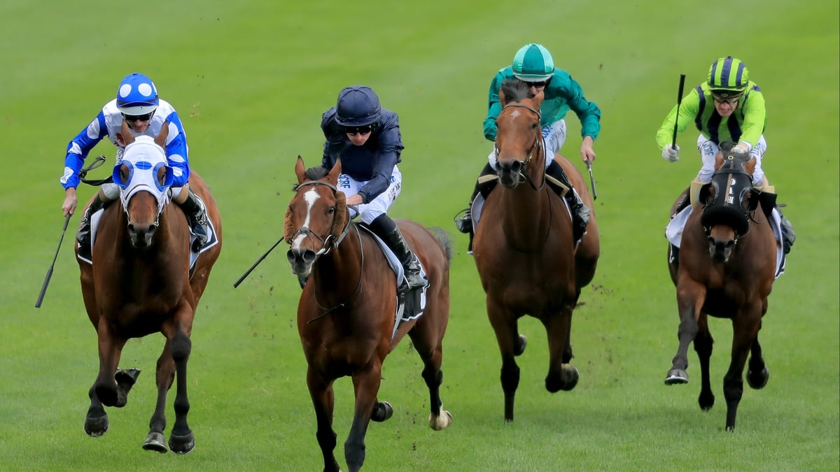 Murray Bridge Betting Tips for August 12, 2026 - Illustrates the Value