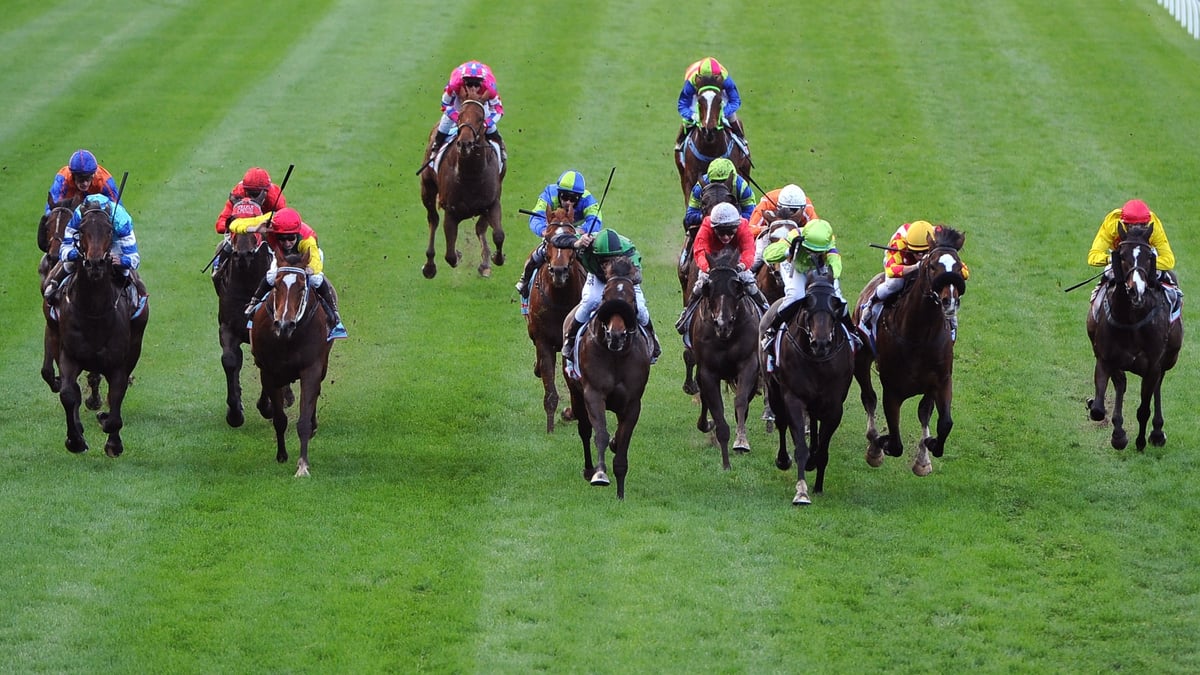 Murray Bridge Betting Tips for July 17, 2026 - Allegedly Ready