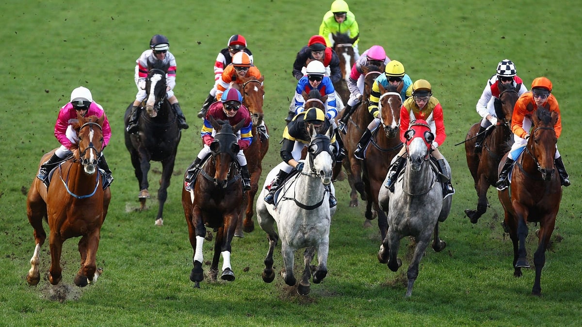 Murray Bridge Betting Tips for July 22, 2026 - Finding The Magic