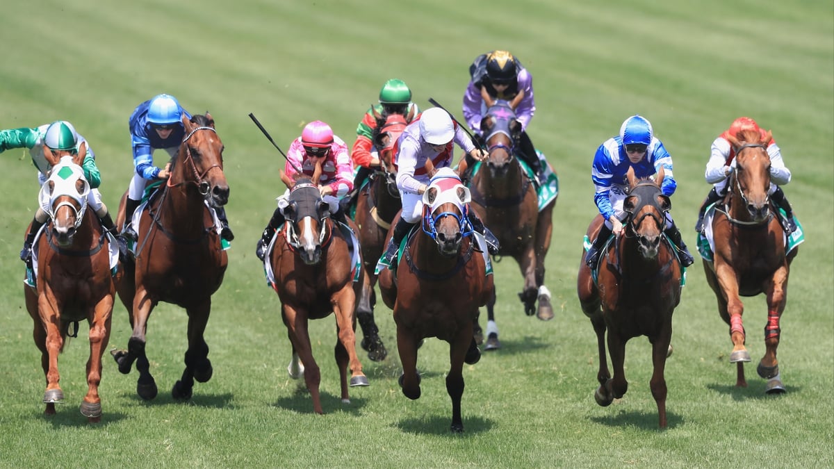 Muswellbrook Betting Tips for September 8, 2026 - Vltava Goes With the Flow