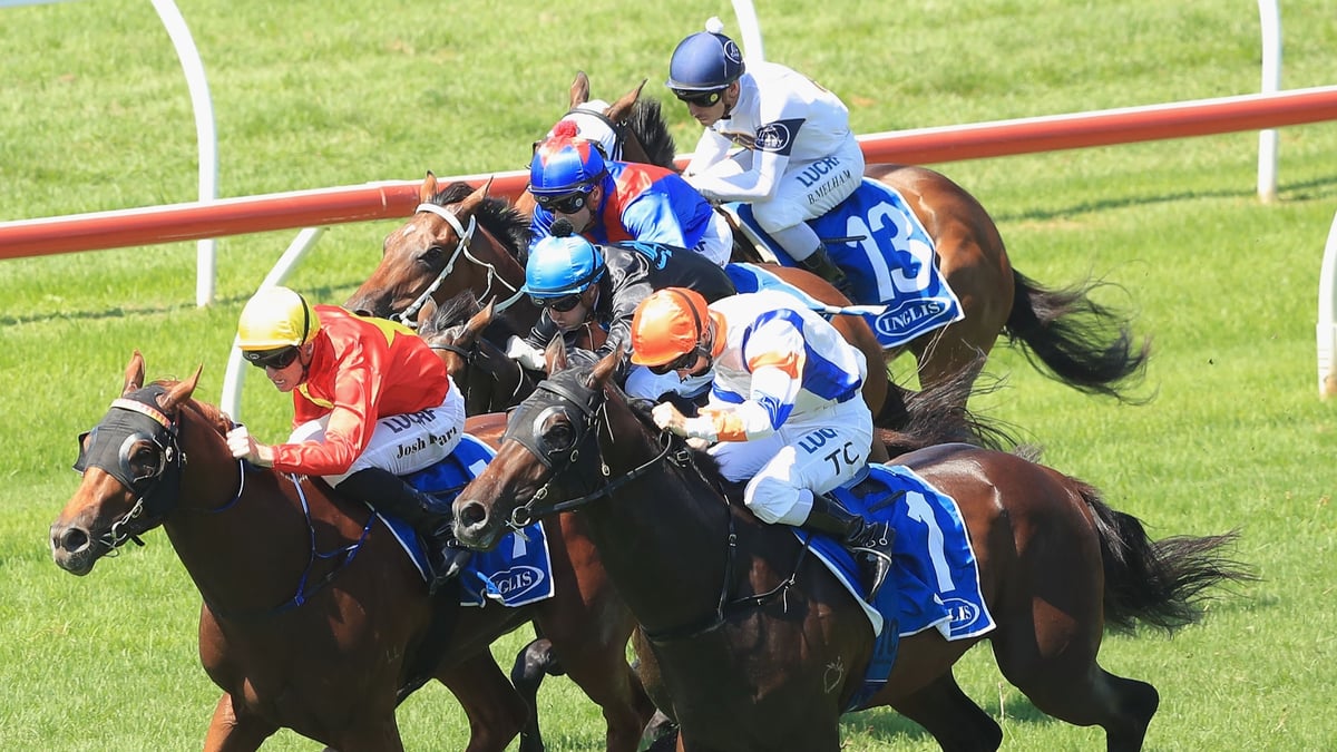 Muswellbrook Betting Tips for August 9, 2026 - Conditions Suit Hinune