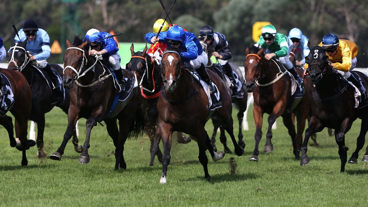 Muswellbrook Betting Tips for July 26, 2026 - Taking It With A Pound Of Salt