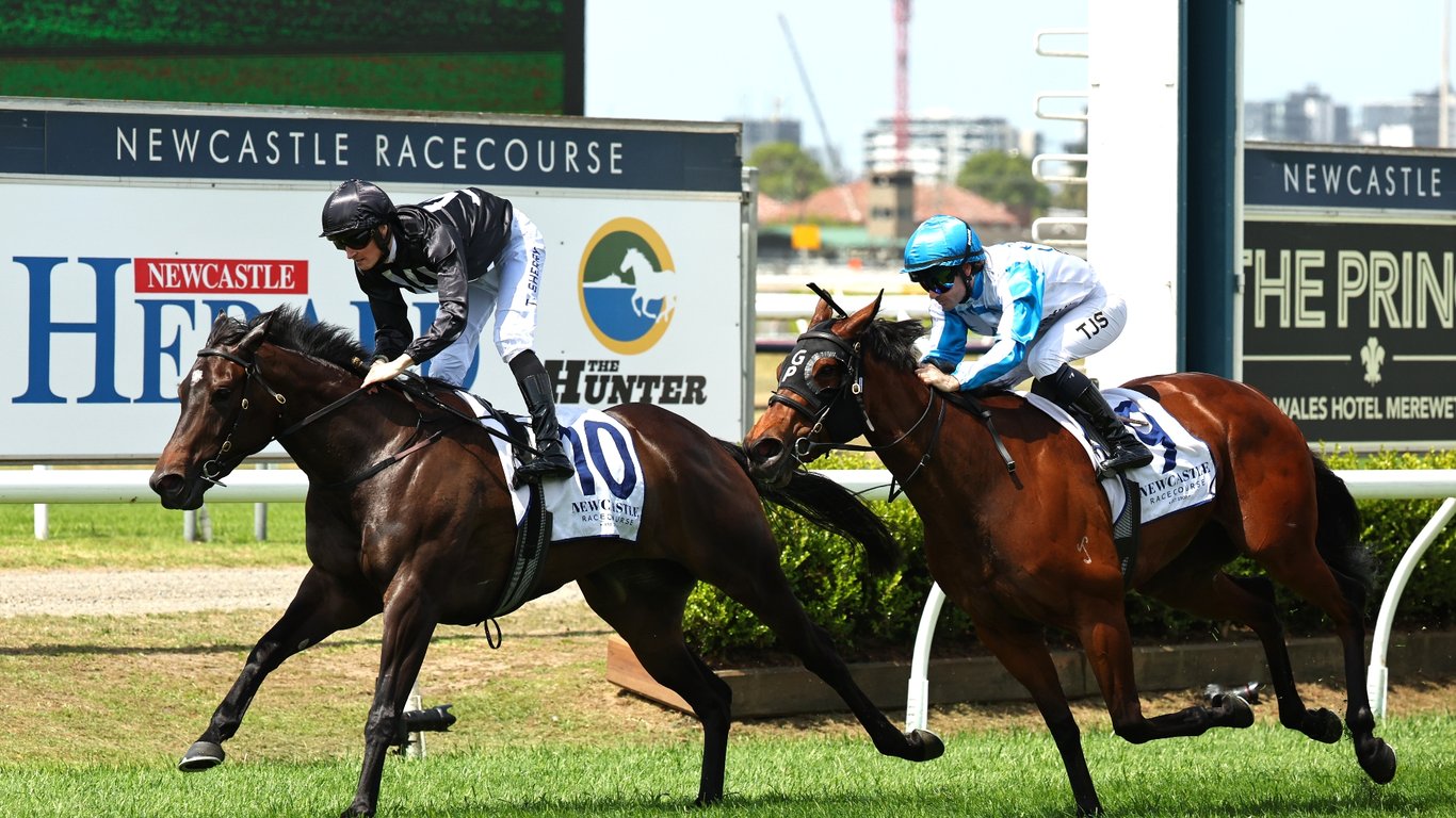 Englishh Racer Newcastle Racing Tips for January 15 - Herman Said can win at his peak ...