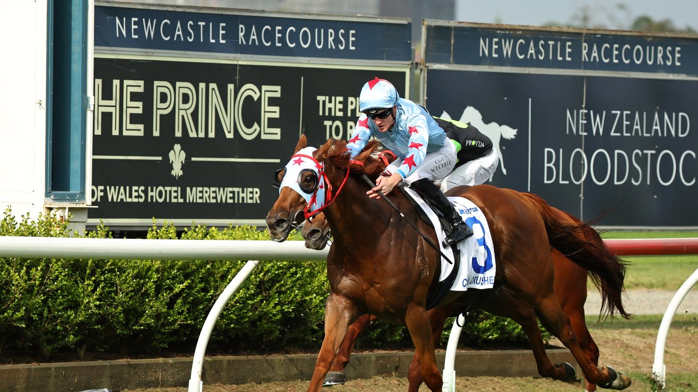 Newcastle Racing Fs Newcastle Racing Tips for March 31 - Banjora can bounce back today