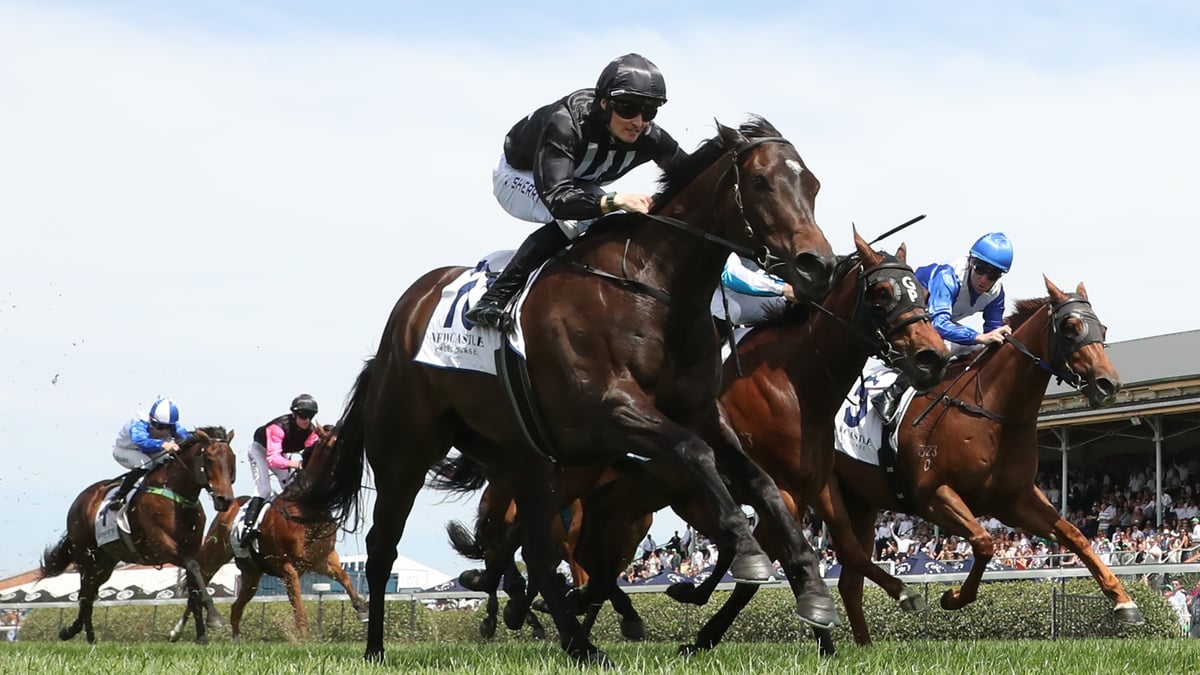 Newcastle Racing Fs Newcastle Racing Tips 2026 | Tuesday Best Bets for March 31