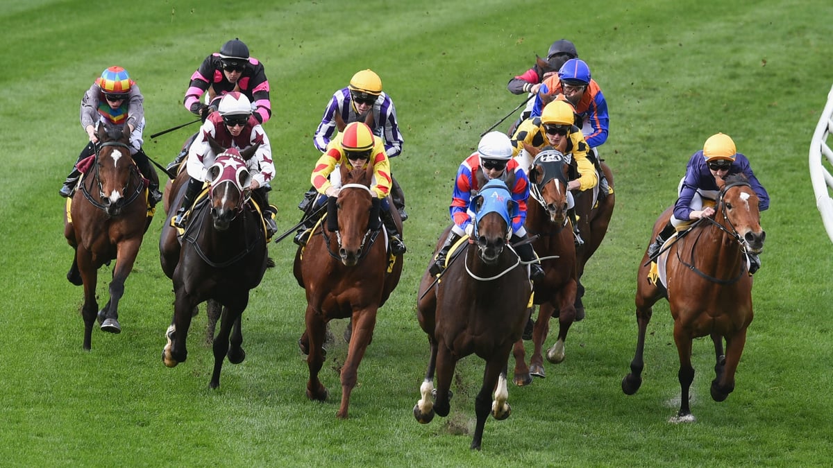 Northam Betting Tips for August 6, 2026 - Let’s Talk About a Winner