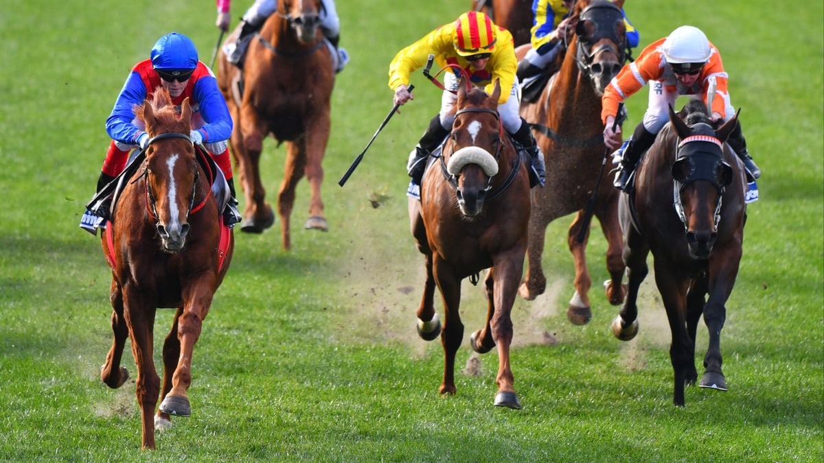 Pinjarra Betting Tips for July 16, 2026 - Berry Nice Chance