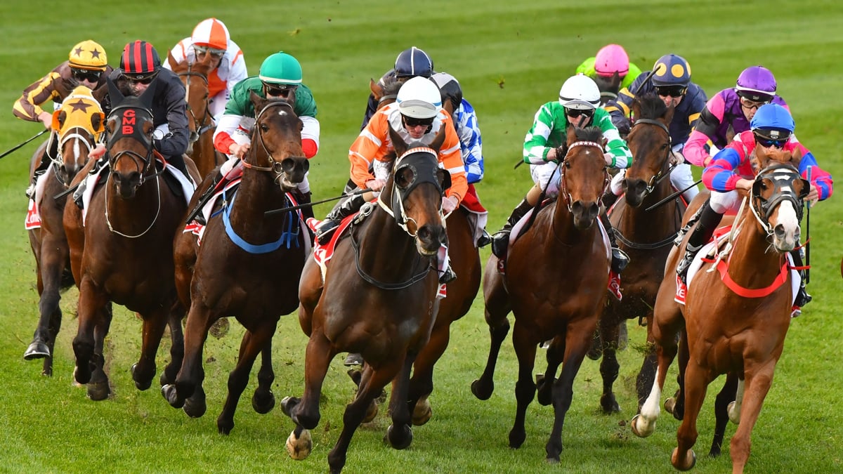 Pinjarra Betting Tips for June 24, 2026 - Dancing Through the Grades