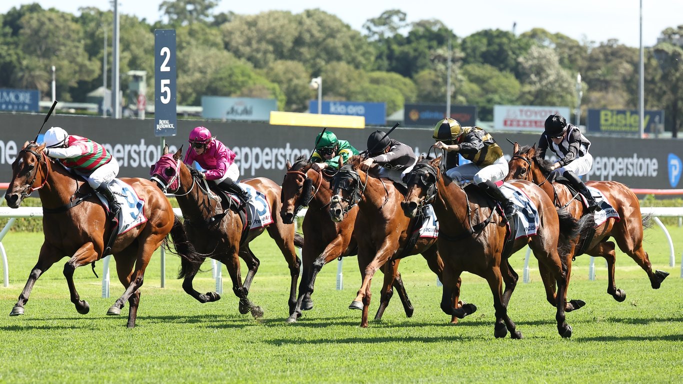 Randwick Racing Tips for January 24 - Whinchat can go back-to-back