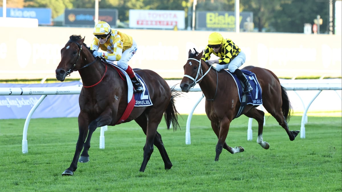 The Championships Day Two 2026 Photos & Gallery | Randwick Race Day Images