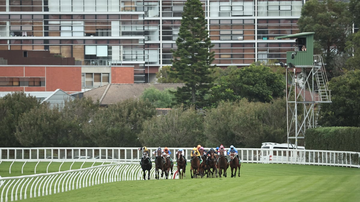 Randwick 2026 Betting Tips Saturday | Championships Day 1 Race-by-Race