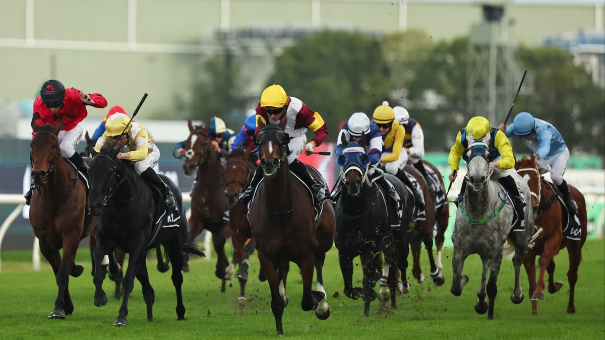Rosehill Betting Tips for May 30, 2026 - Right Set-Up for Zambardo