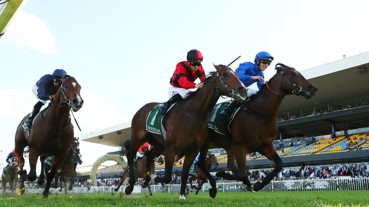 Run To The Rose 2026 Betting Tips - The Focus Is on Value