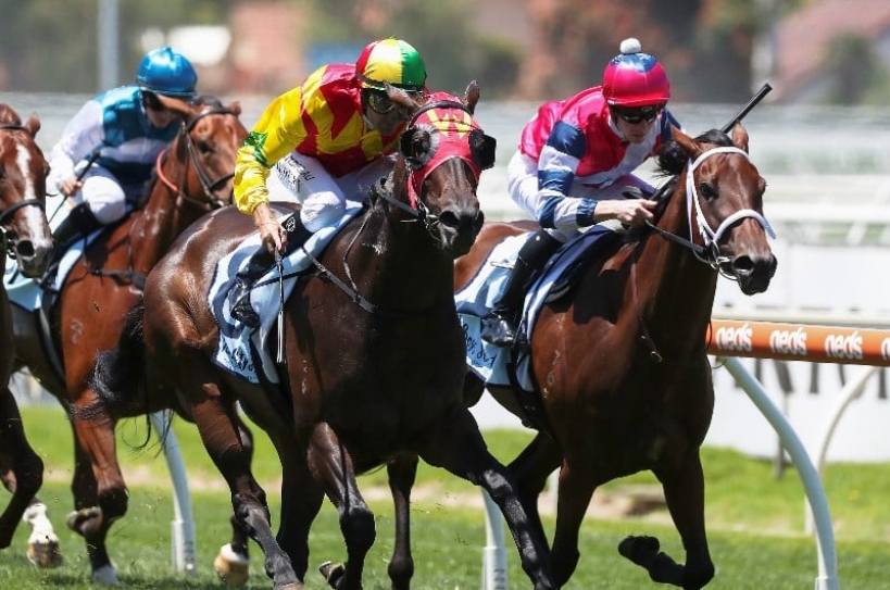 Sale Races Live Sale Racing Tips January 8, 2026 | Best Bets & Value