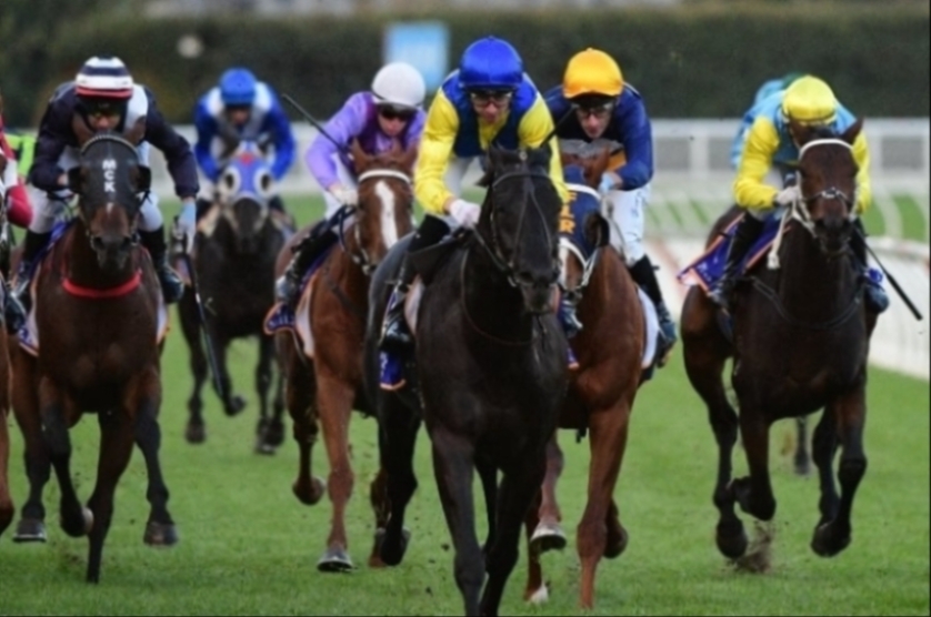 Sale Races Live Sale Racing Tips for March 1 – Local contenders well placed on Heavy ...