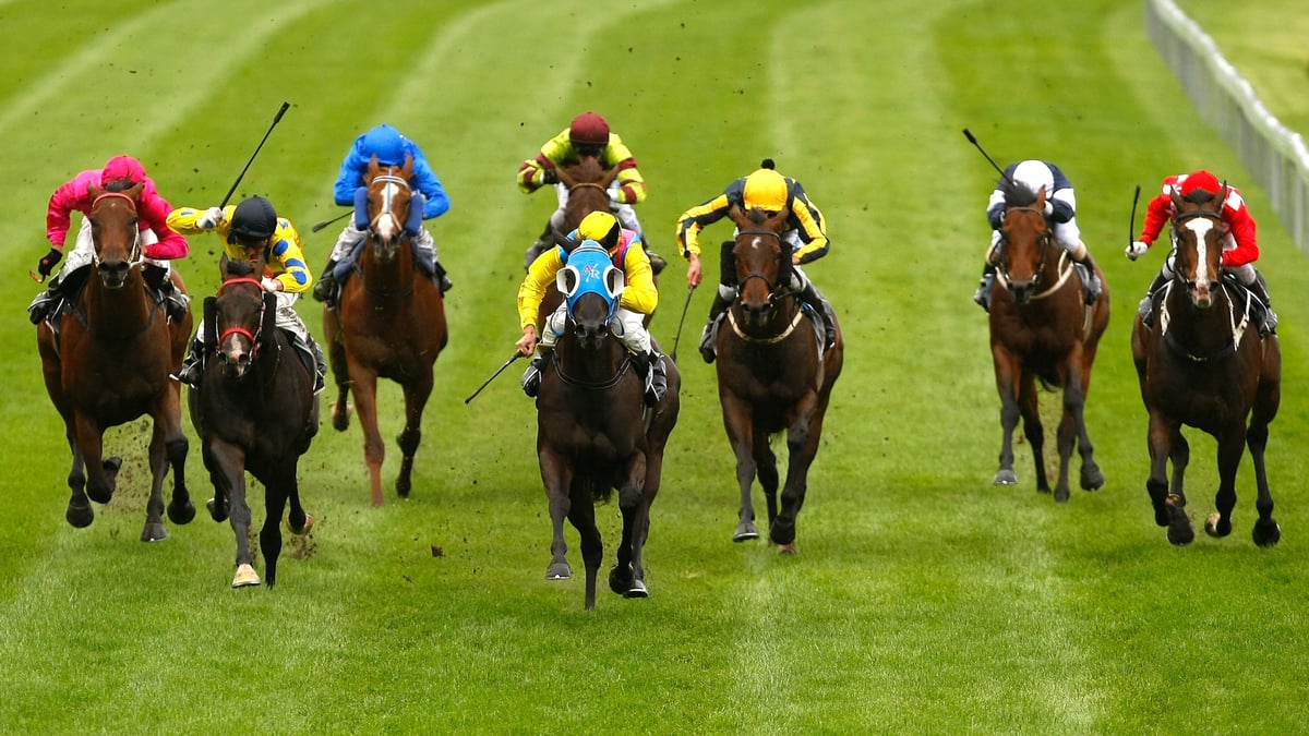 Sale Betting Tips for September 13, 2026 - Crocodile Has Plenty of Bite