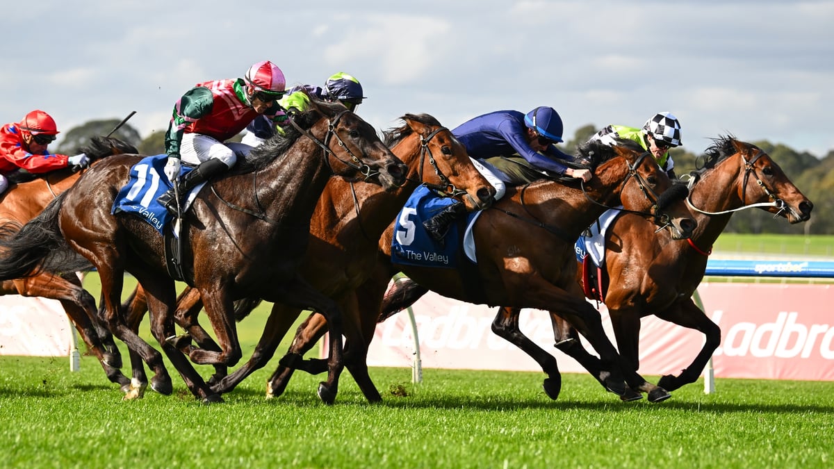 Sandown Betting Tips for September 2, 2026 - Best Time to Strike