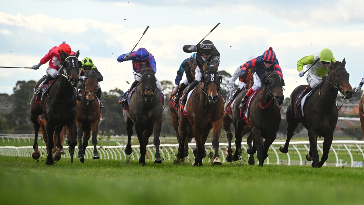 Sandown Betting Tips for July 15, 2026 - A Supernima Finish