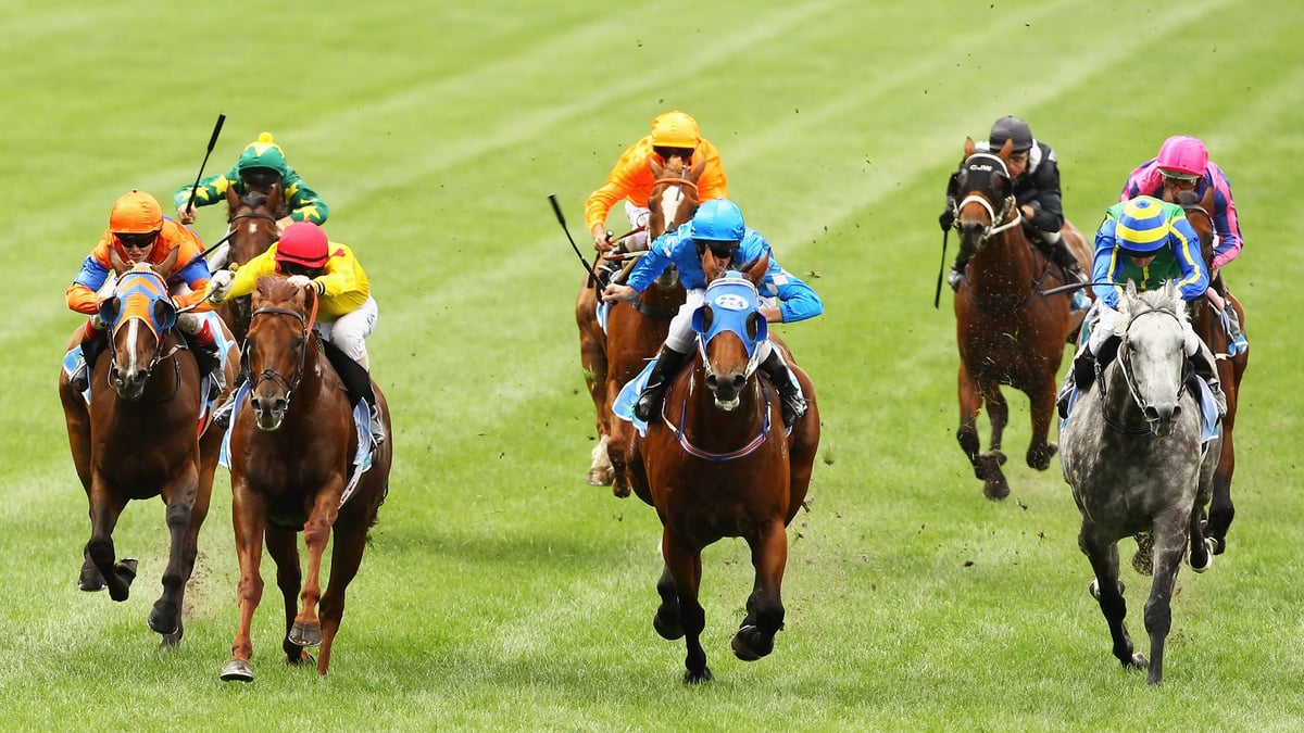 Seymour Betting Tips for August 7, 2026 - The Writing Is on the Wall for Annotate