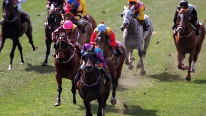 Seymour Racing Tips for October 11