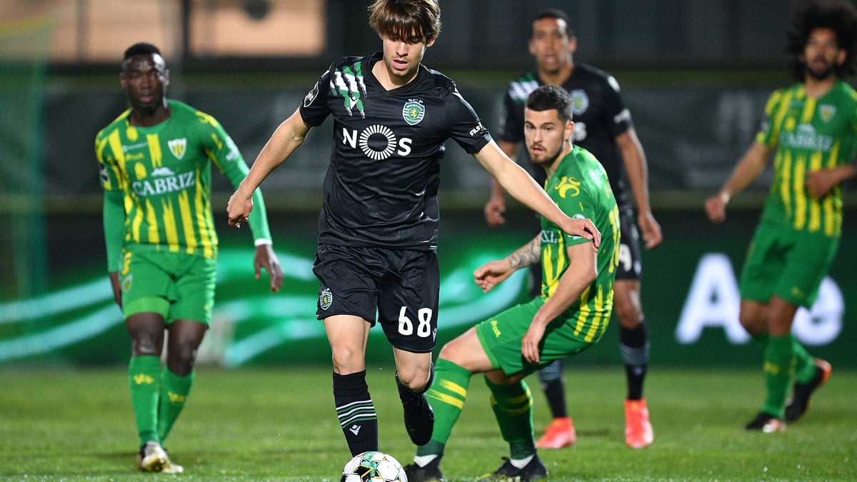 Tondela vs Sporting CP Live Stream, Predictions & Betting Tips