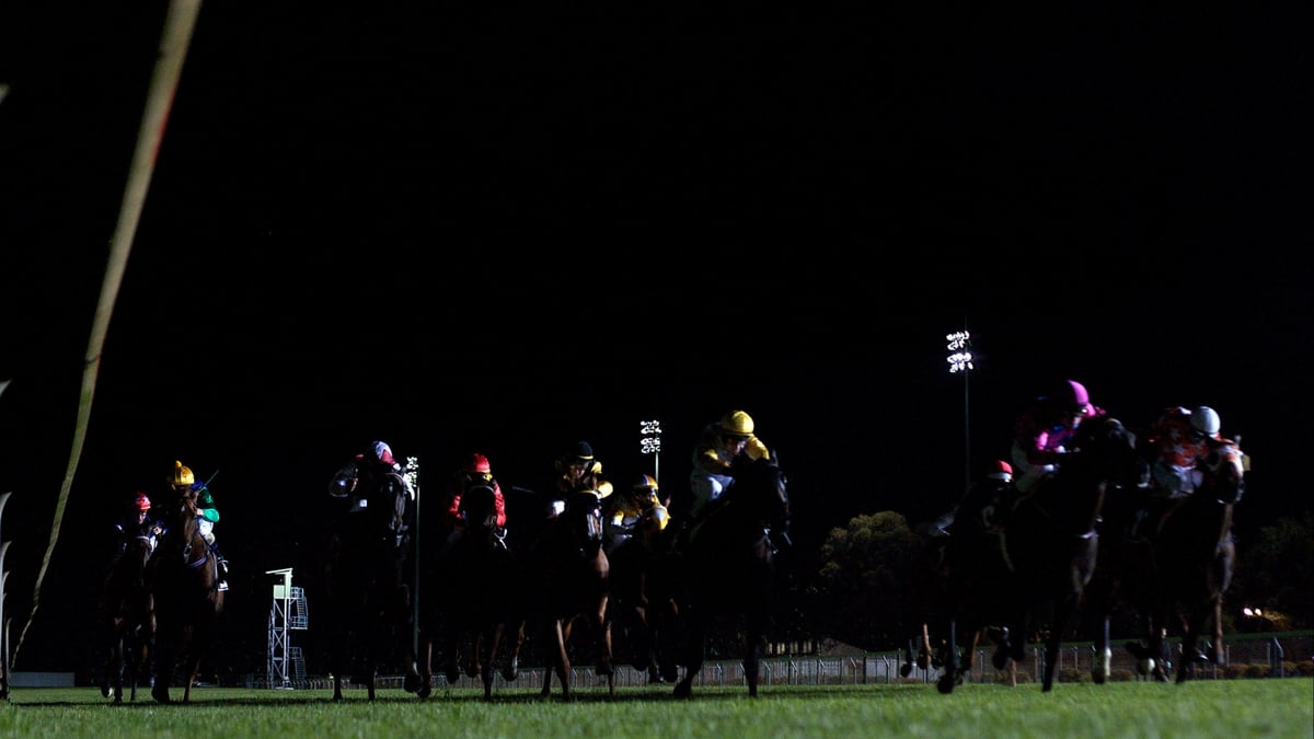 Sunshine Coast Betting Tips for September 11, 2026 - Sealord Can Rule the Opener