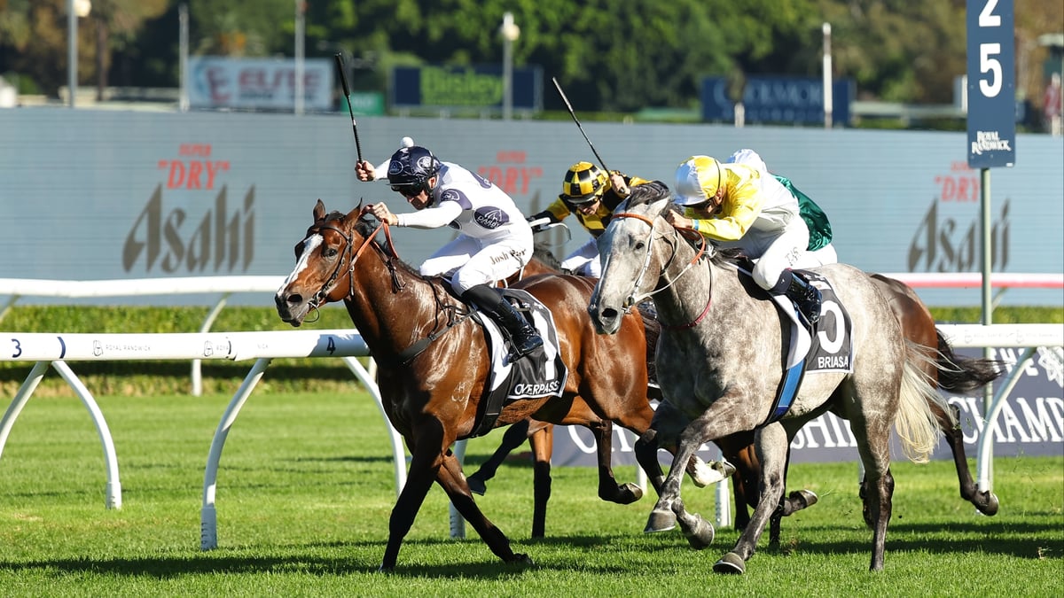 TJ Smith Stakes 2026 - Barrier Draw & Final Field