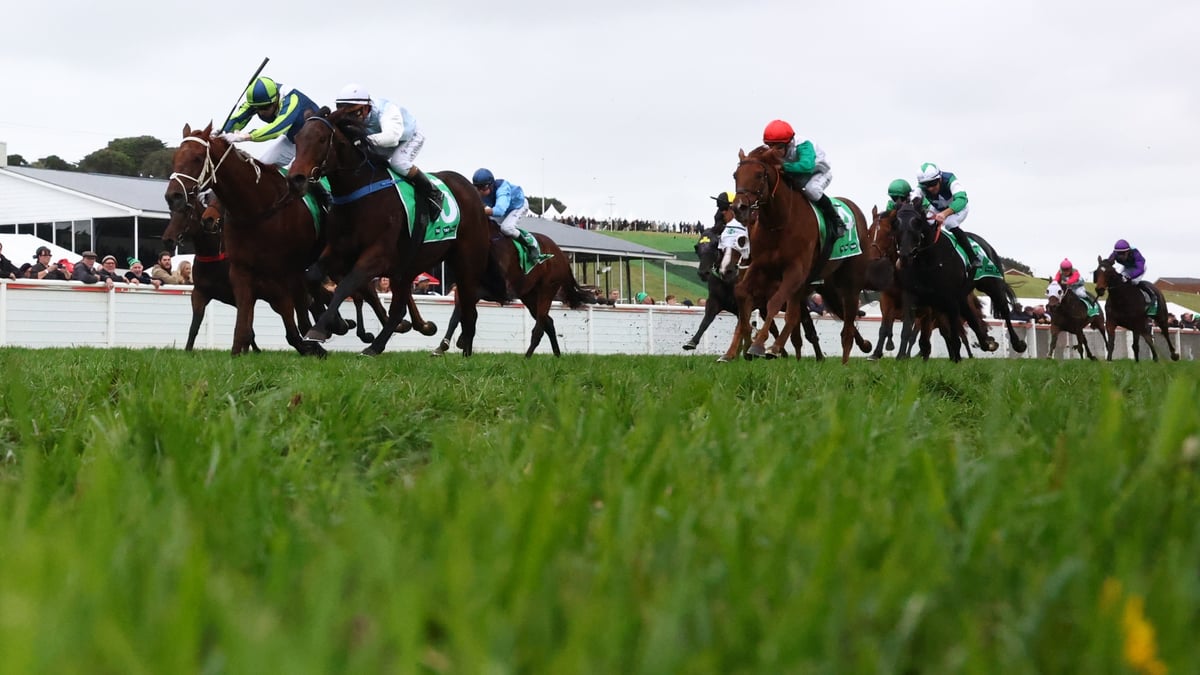 Warrnambool Betting Tips for July 23, 2026 - River Runs Deep