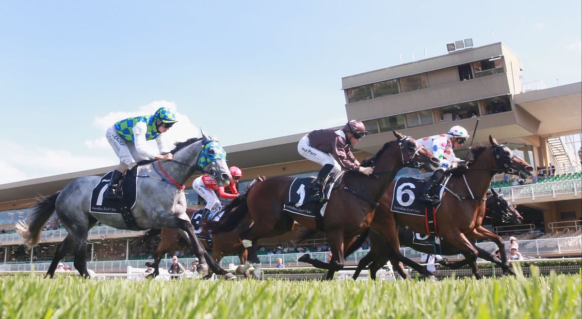 Warwick Farm Betting Tips for July 15, 2026 - Time to Uncork Champagne Hero