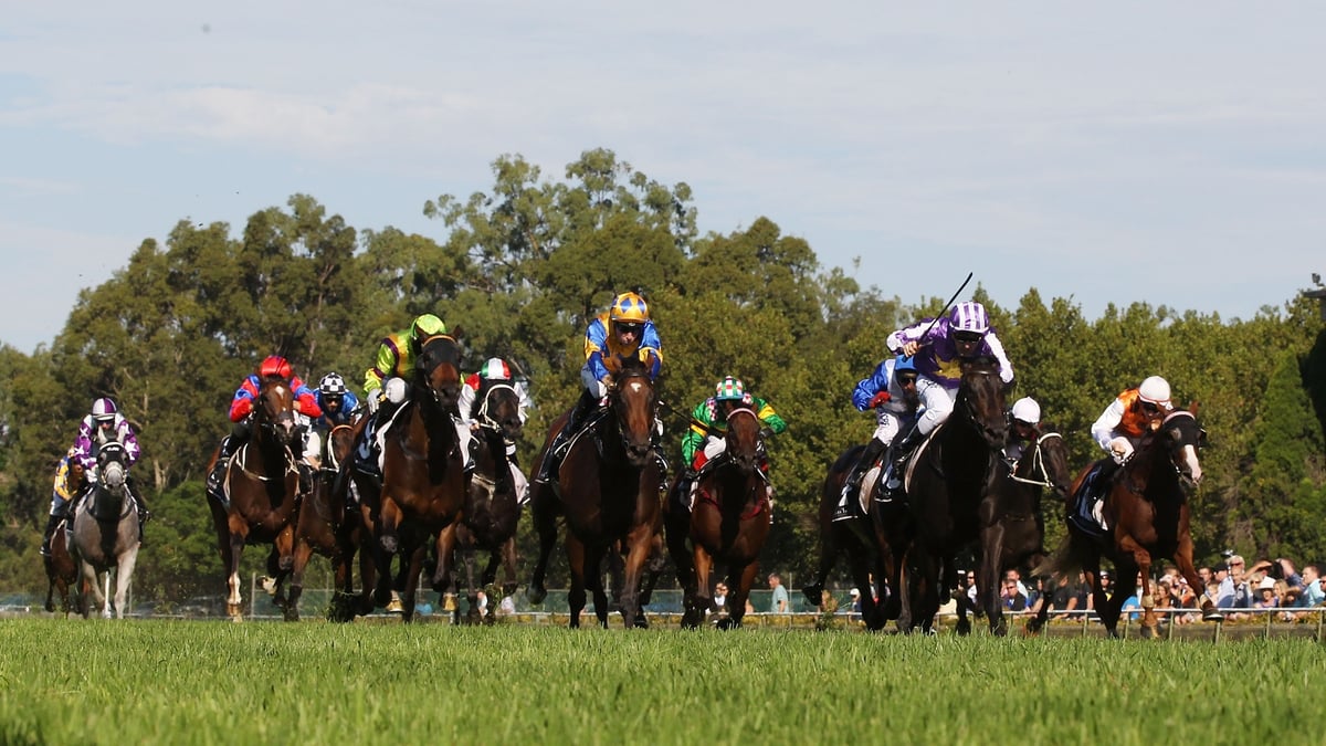 Warwick Farm Betting Tips for June 24, 2026 - Three Arrows Point the Way