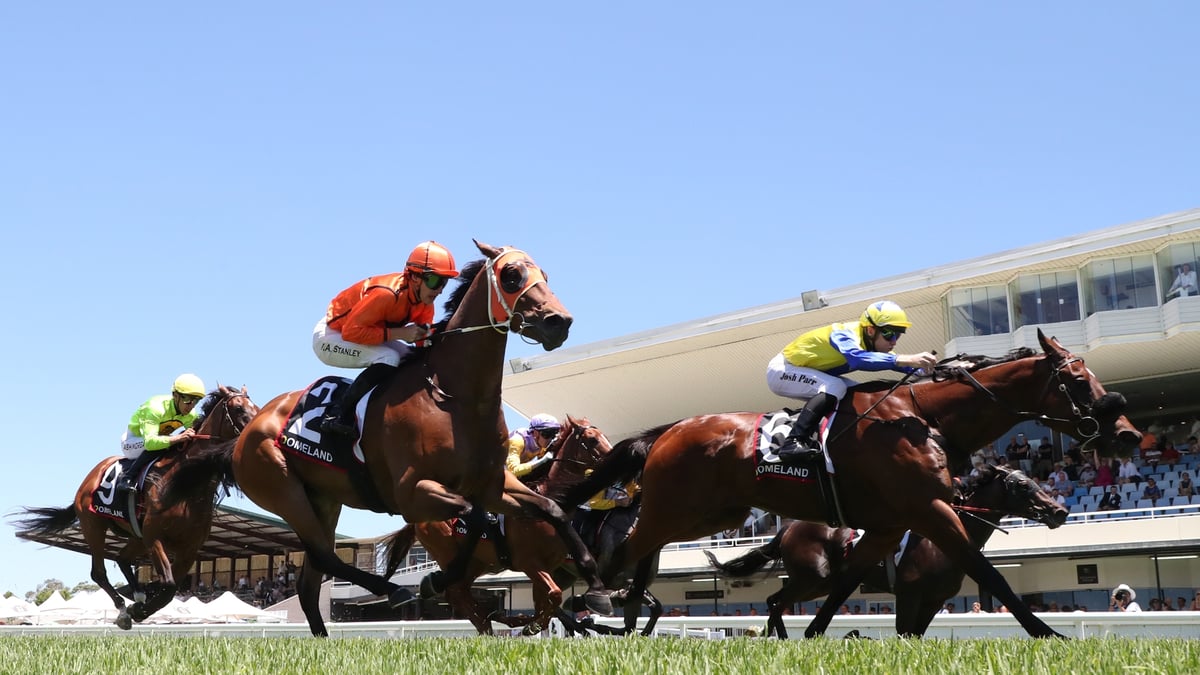 Wyong Betting Tips for August 16, 2026 - Anthropoid Ready to Evolve