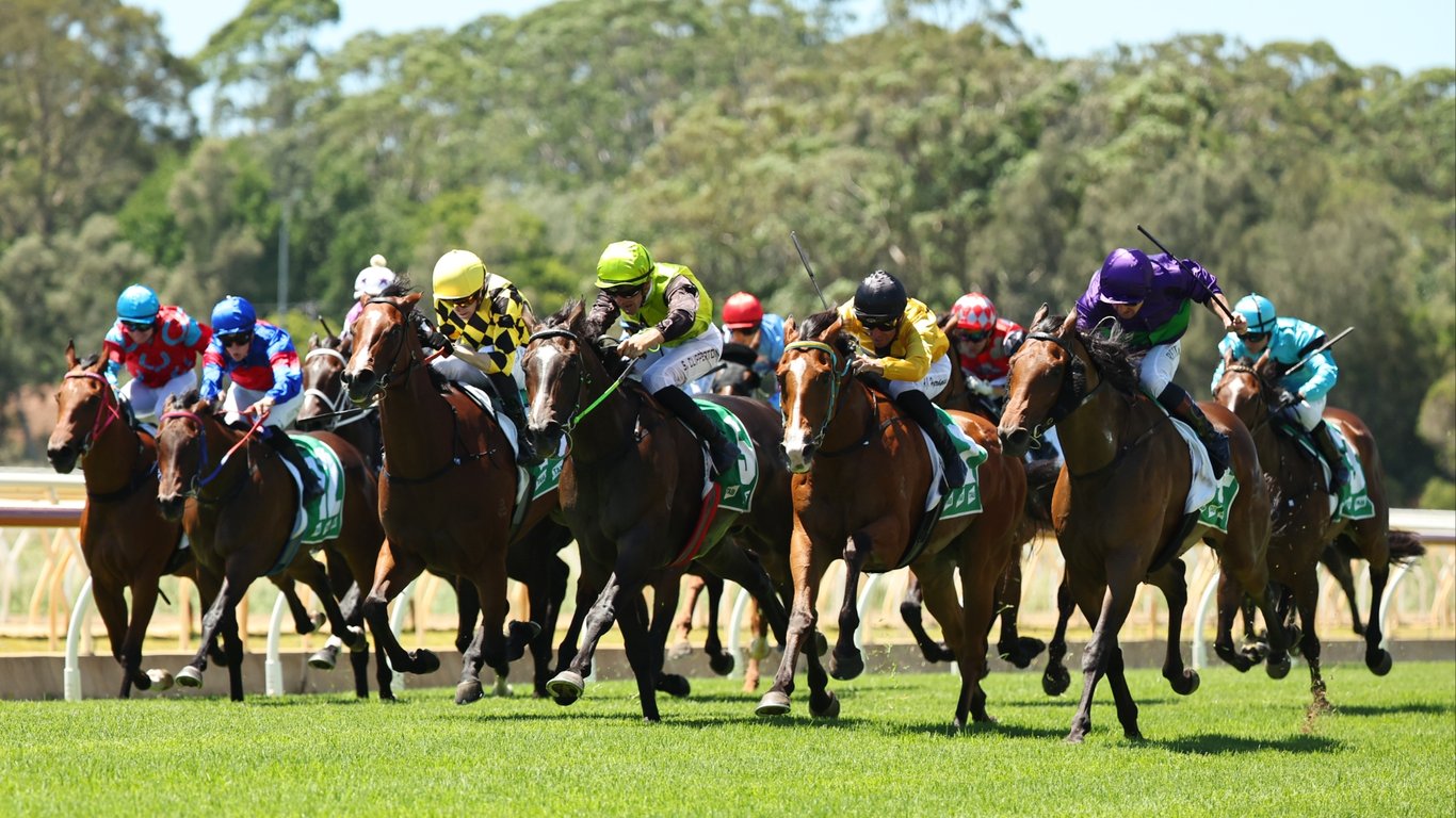 Wyong Racing Tips for January 25 - Mediterra can break through today