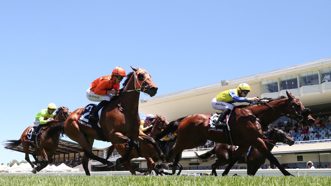 Wyong Racing Tips for February 26 - Pratt can claim victory, down in ...