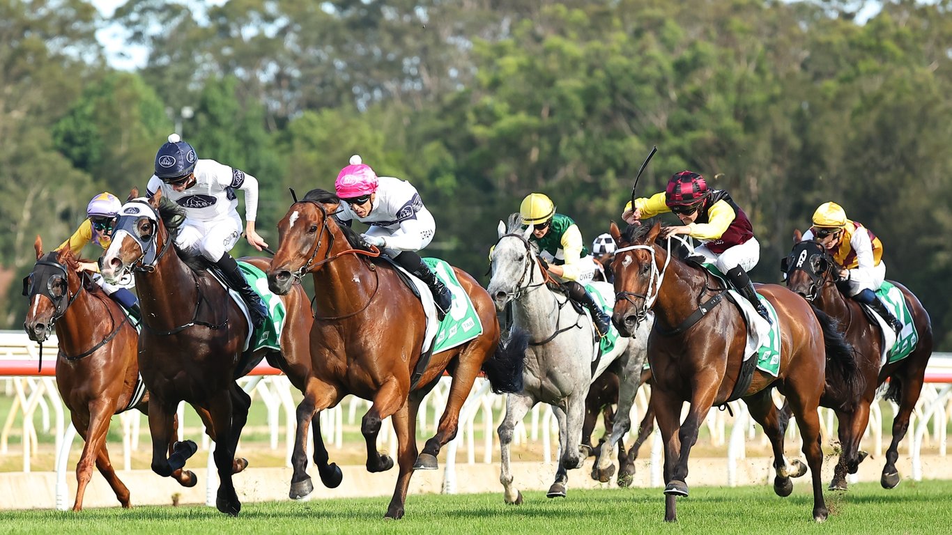 Wyong Racing Tips for October 30 - Triple Play looks set to win again