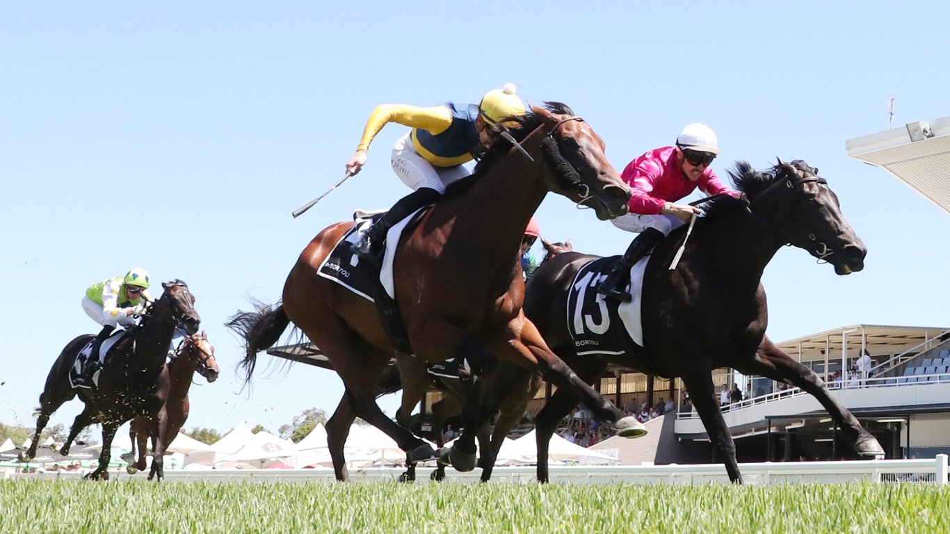 Wyong Racing Tips for May 7 - Grandini is drawn for another win today
