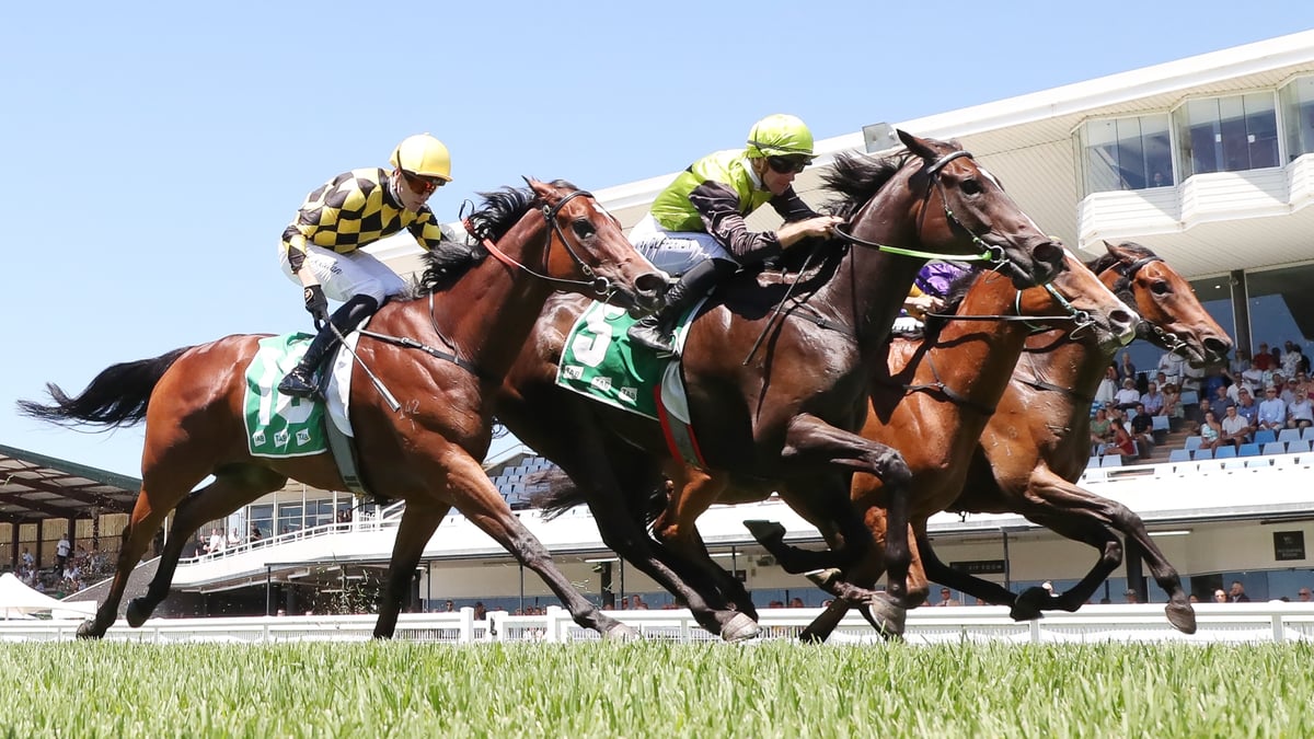Wyong Betting Tips for September 4, 2026 - Matusalem Chasing Cup Glory