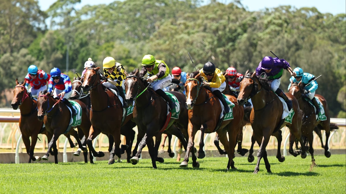 Wyong Betting Tips for June 25, 2026 - Broadway Bound