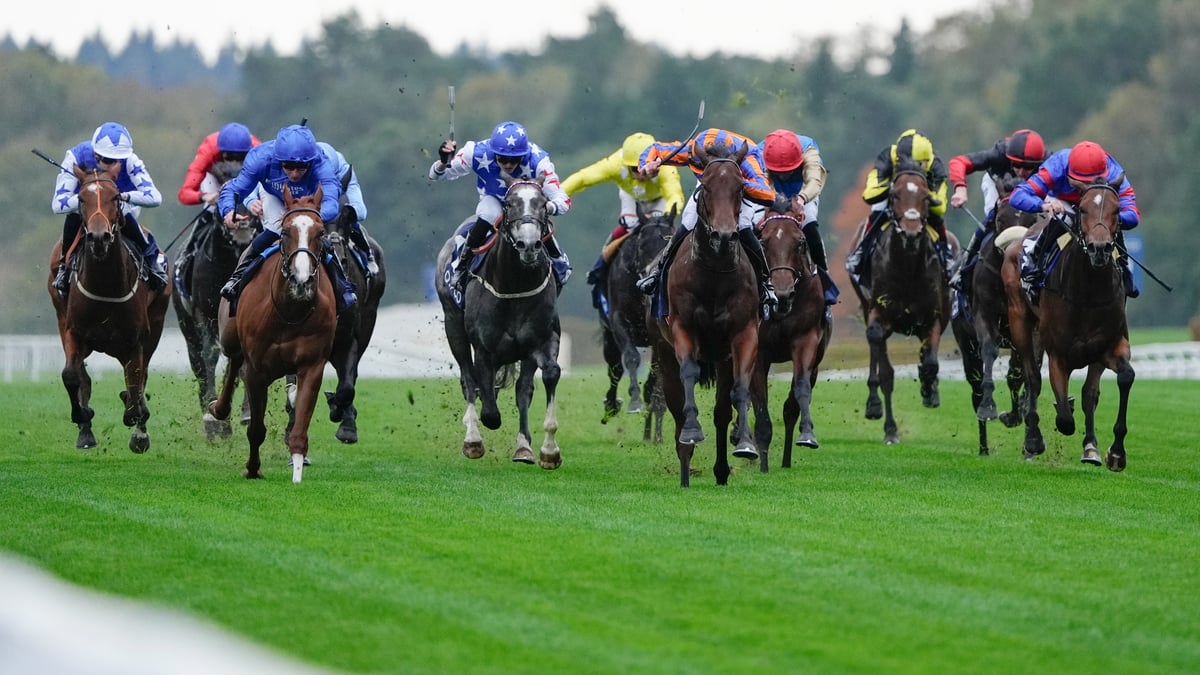 2026 British Champions Day FAQs | Date, Time, Runners & Race Guide