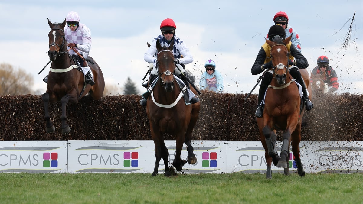 2026 Scottish Grand National Odds: Kim Roque backed into Ayr favouritism
