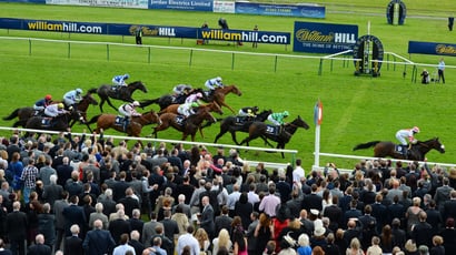 Ayr Gold Cup 2026 Odds Trends and Tips