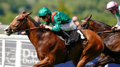 Champion Stakes 2026 Key Quotes