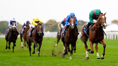 Champion Stakes 2026 Live Stream