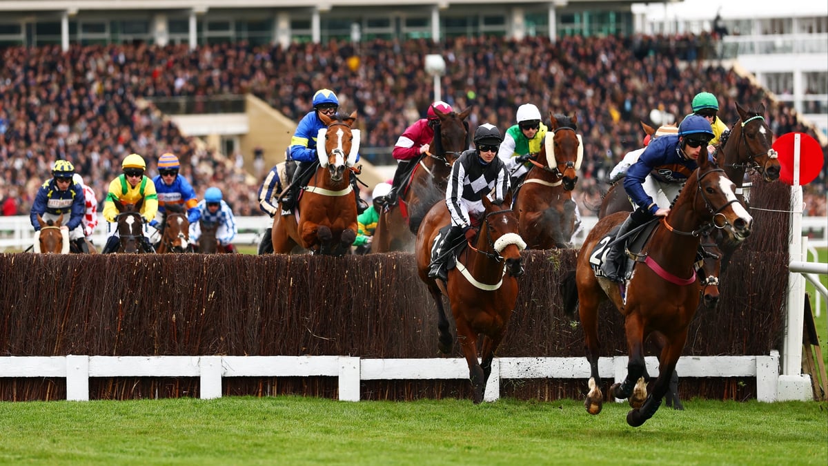 Cheltenham Festival 2026 | New Schedule & Updated Racecards