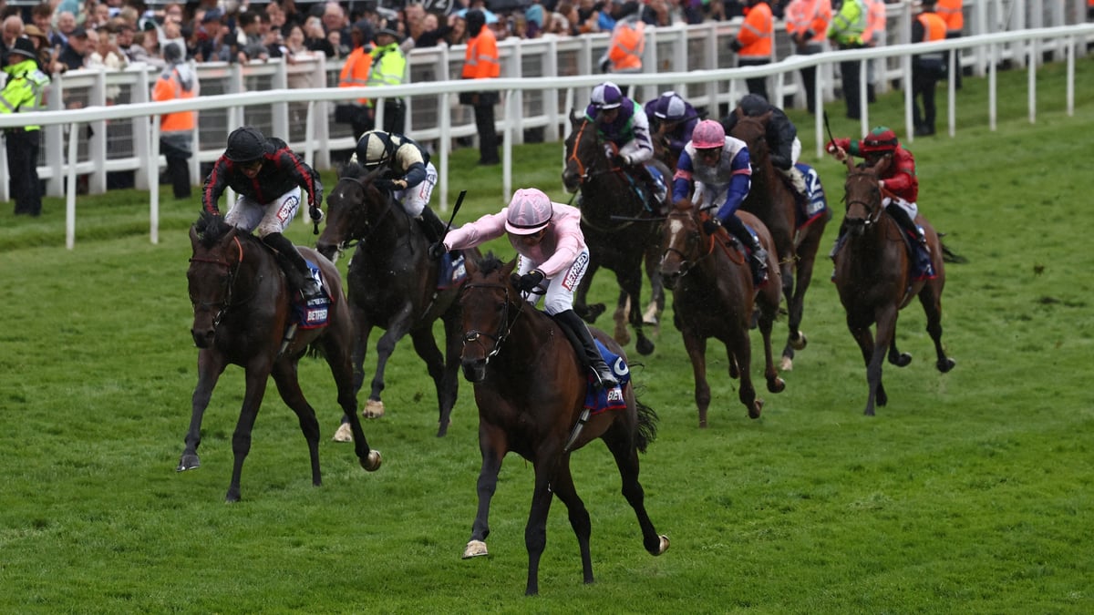 Jon Cellini 2026 Irish Derby Odds: Benvenuto Cellini leads Christmas Day in Curragh ...