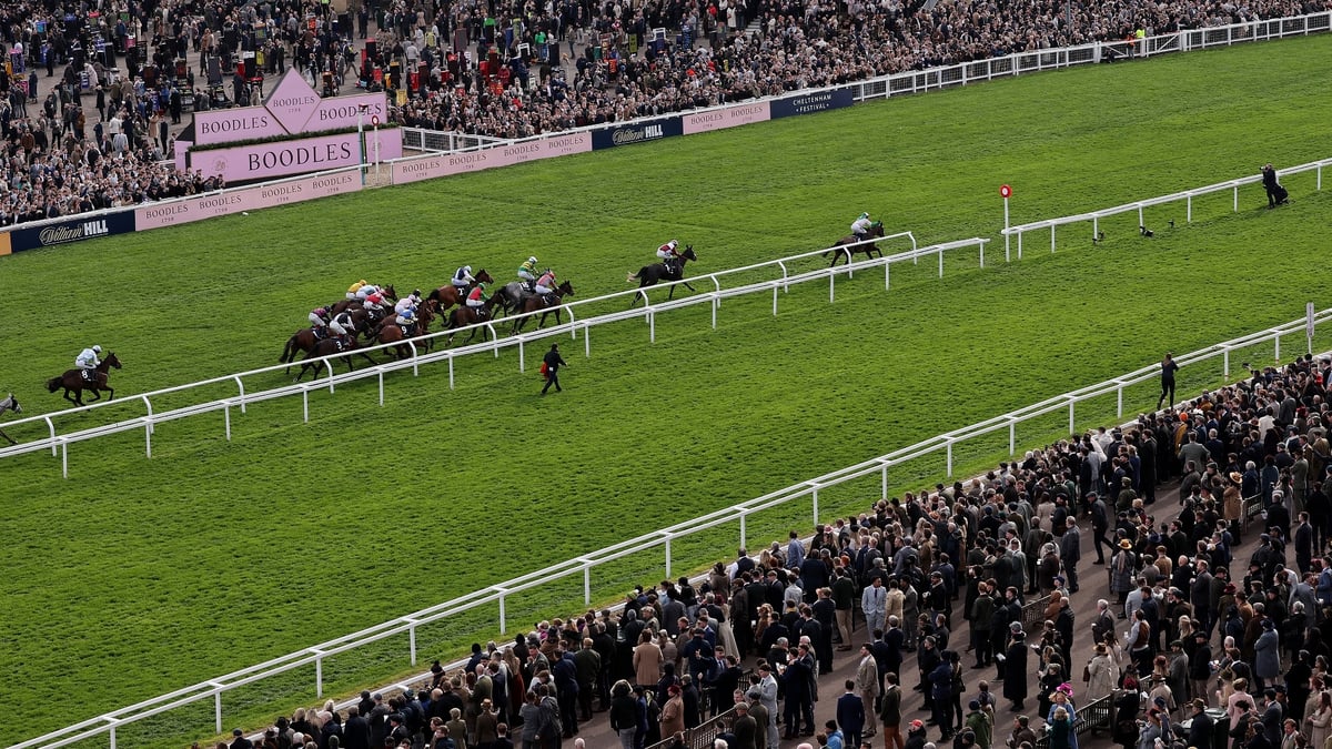2026 Cheltenham Festival Recap: Five eye-catchers to keep on-side