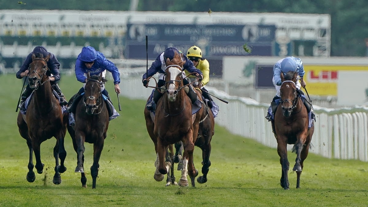 2026 Dante Stakes Tips: Gosden's outsider a Wise bet at York