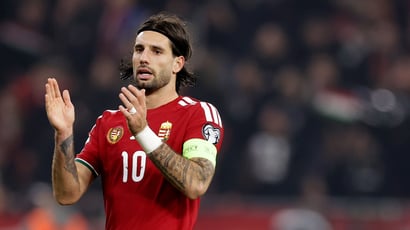 Ukraine vs Hungary Tips