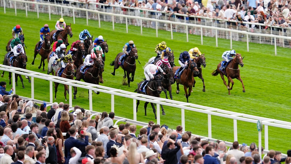 2026 Ebor Handicap Tips | Odds, trends and two selections for York