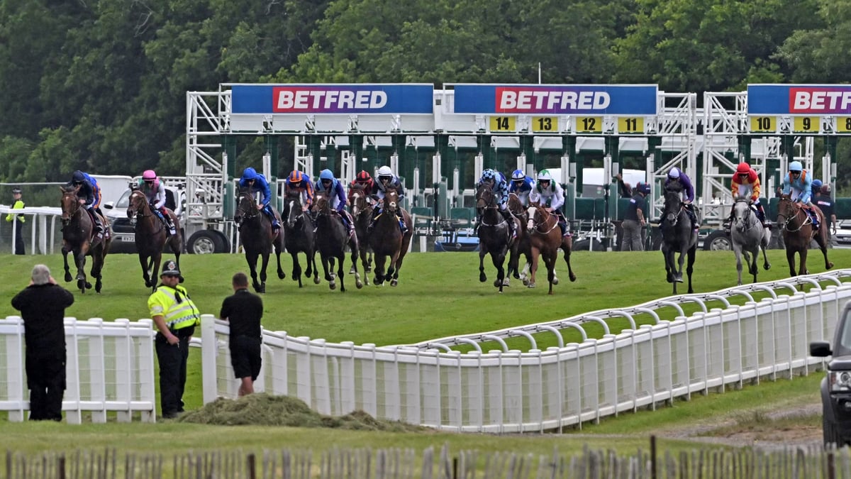 Jon Cellini 2026 Epsom Derby Confirmed Runners: Benvenuto Cellini heads field of 14