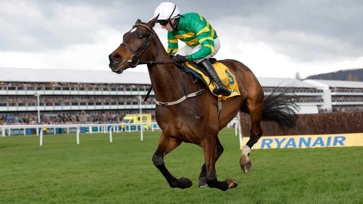 Ryanair Chase 2026 Tips | Pre-season guide and selections